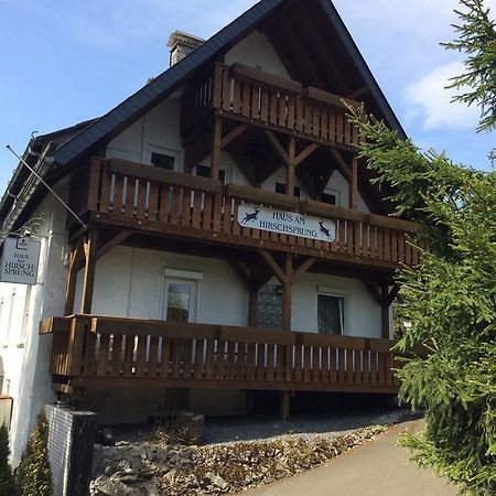 Pension Haus Am Hirschsprung Willingen (Upland) Exterior foto